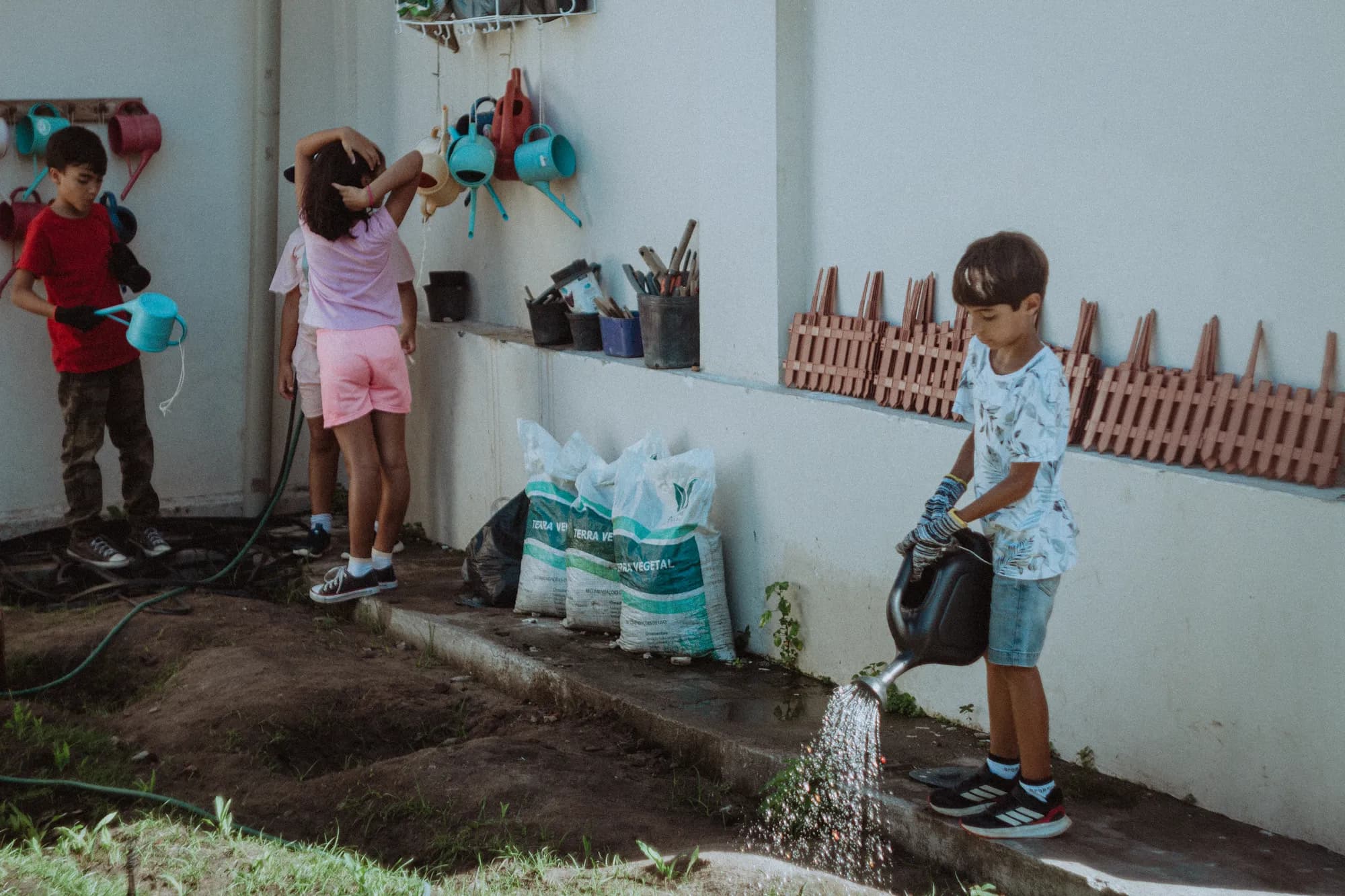 Área verde do quintal