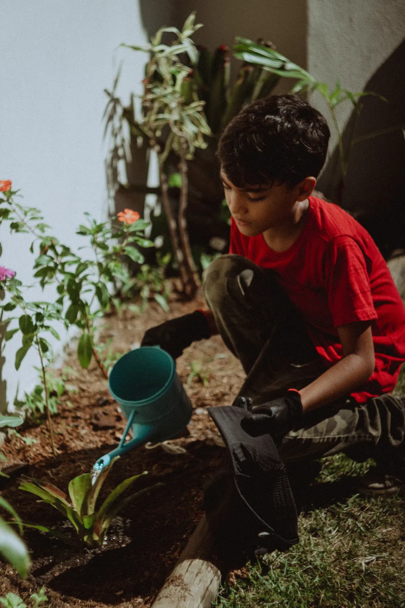 Cuidando do Jardim - Apoio à equipe pedagógica